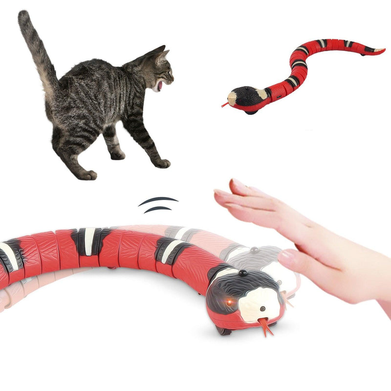 Cobra Inteligente para Gato - Tá na Mão