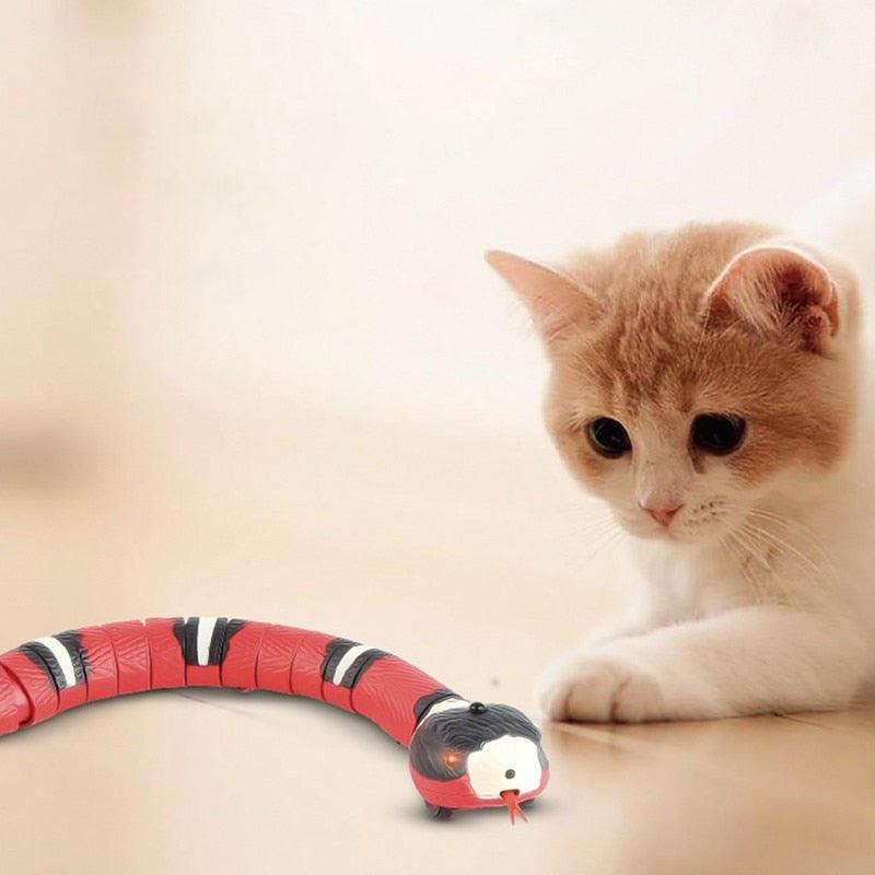 Cobra Inteligente para Gato - Tá na Mão