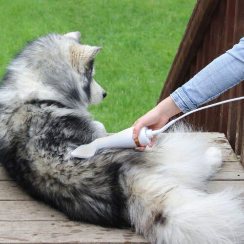 Escova Secadora para Pets - Tá na Mão