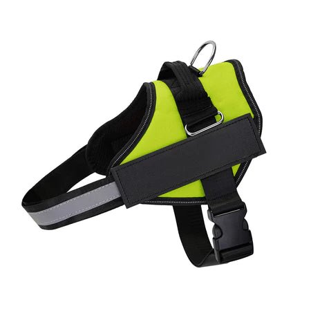 Peitoral Coleira Refletiva para Cães: Comfort & Control em Passeios - Tá na Mão