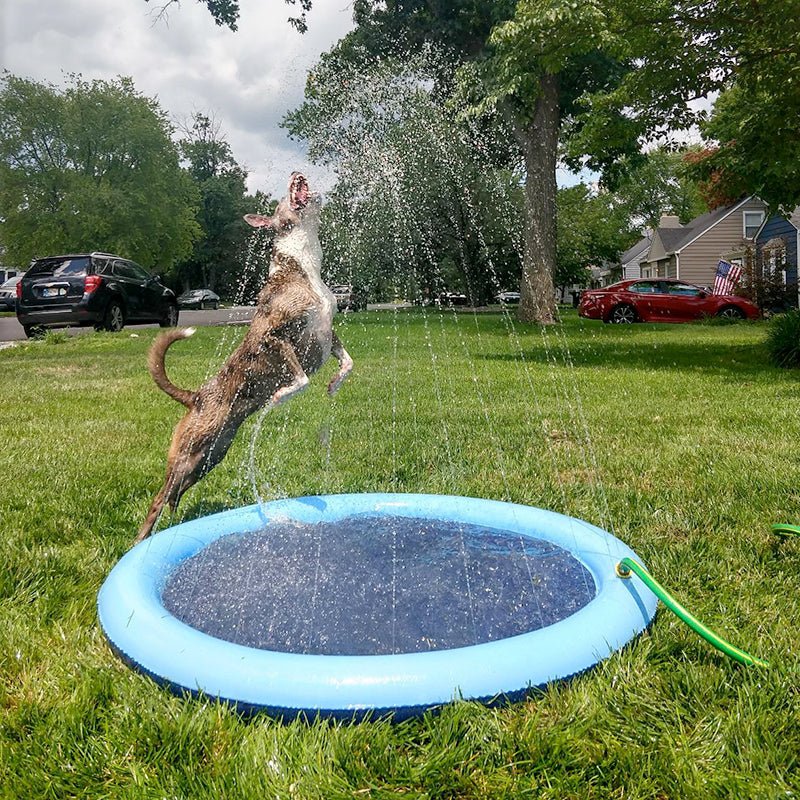 Piscina Inflável para Pets - Tá na Mão